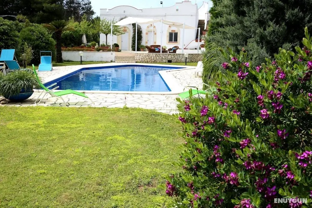 Bed & Breakfast Le Vele - Dış Mekan