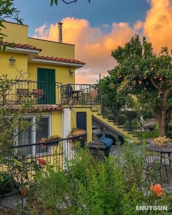 Bed & Breakfast Massico - Öne Çıkan Resim