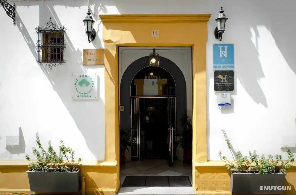 Bed & Breakfast Naranjo - Öne Çıkan Resim