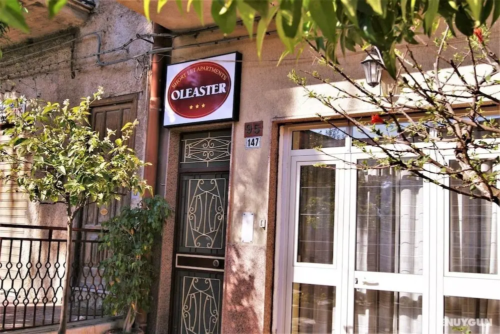 Bed & Breakfast Oleaster - Dış Mekan