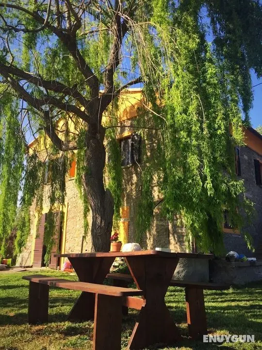Bed & Breakfast Podere La Pace - Öne Çıkan Resim