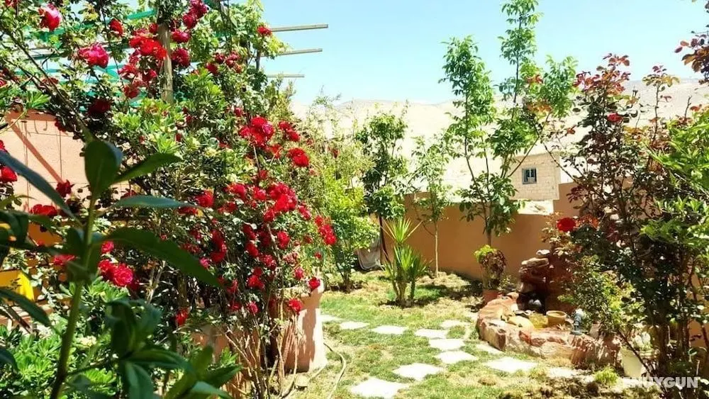 Bedouin Garden House - Dış Mekanlar