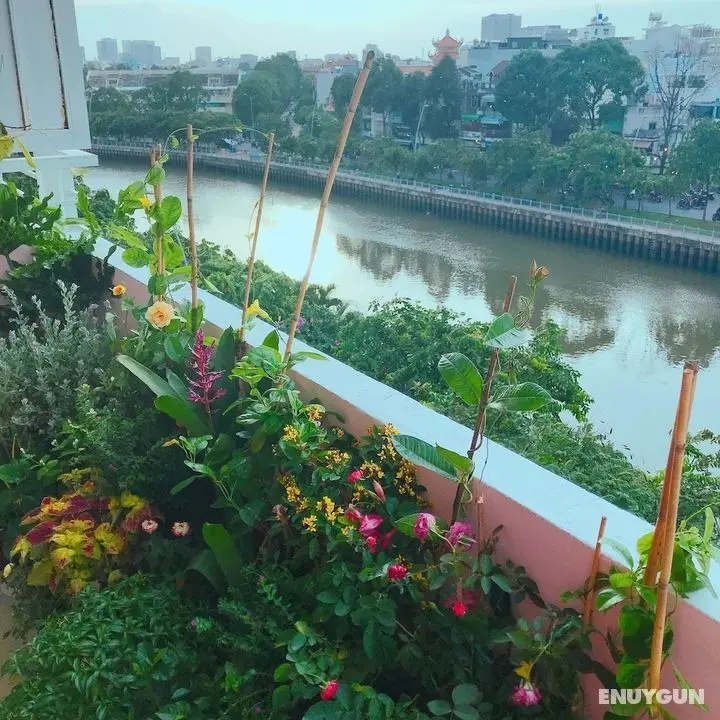 Bee Tropicool - Dış Mekan