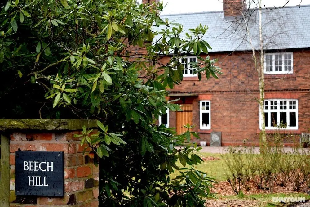 Beech Hill B&B - Öne Çıkan Resim
