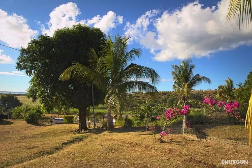The Beehive Fiji - Dış Mekan