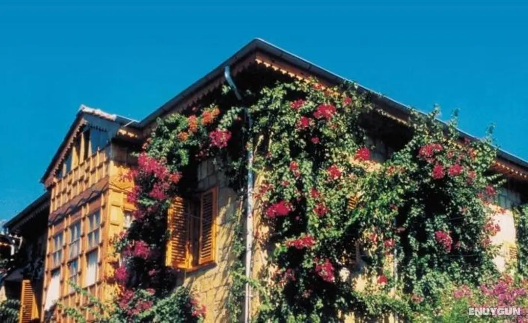 Begonville Pansiyon - Dış Mekan