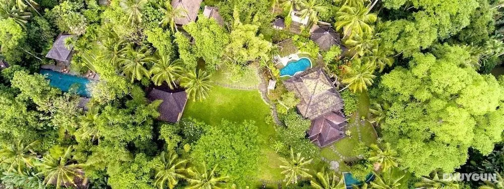 Villa Beji Indah - Öne Çıkan Resim