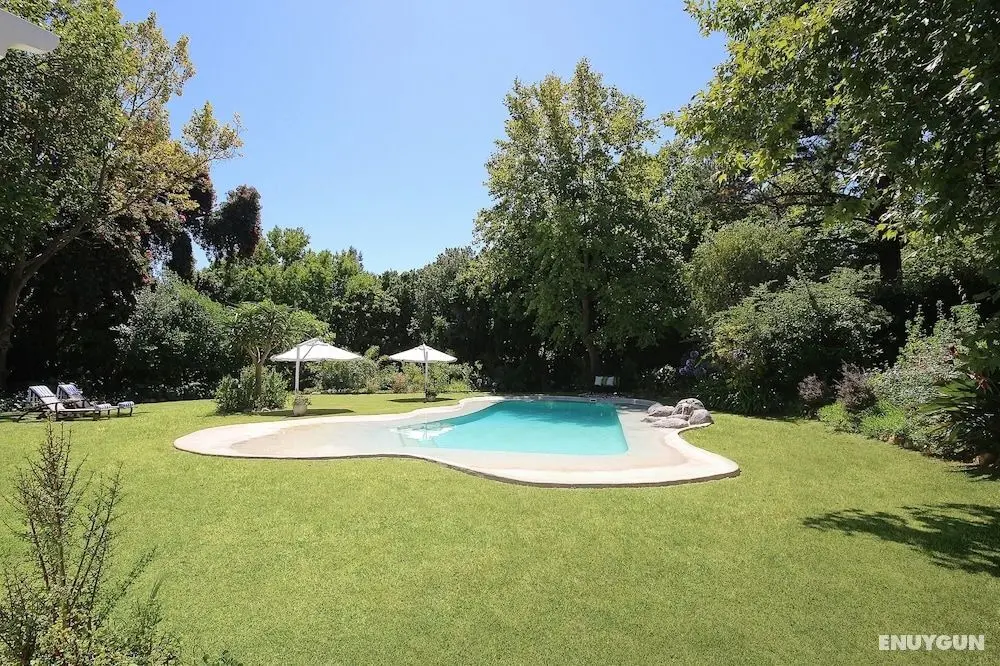 Beluga of Constantia Guest House - Öne Çıkan Resim
