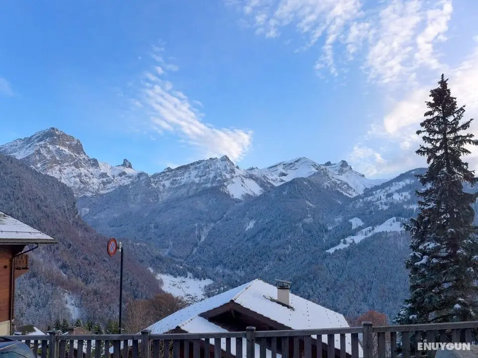 Belv d re Gryon in Gryon - Oda