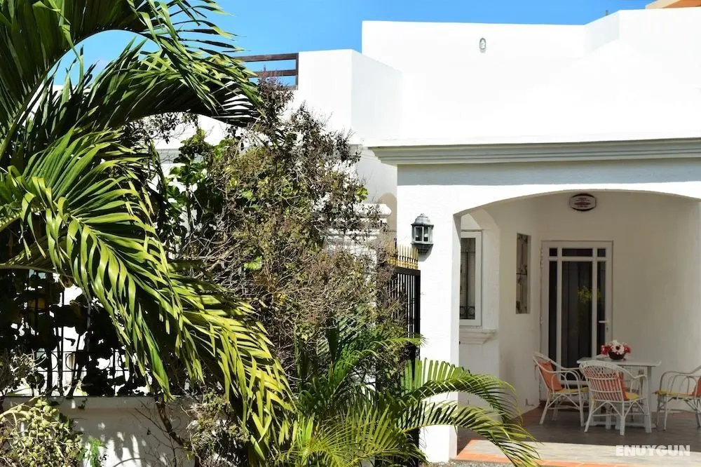 Bernard l'Hermite Villa - Oda Düzeni