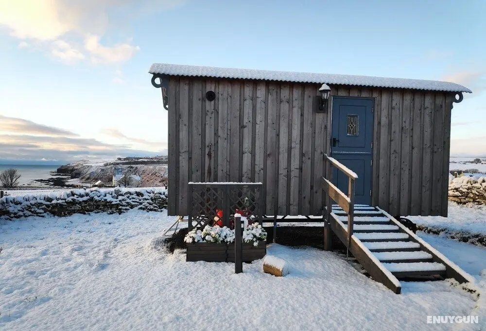Bespoke Hand Built Shepherds Hut in Dunbeath - Dış Mekan