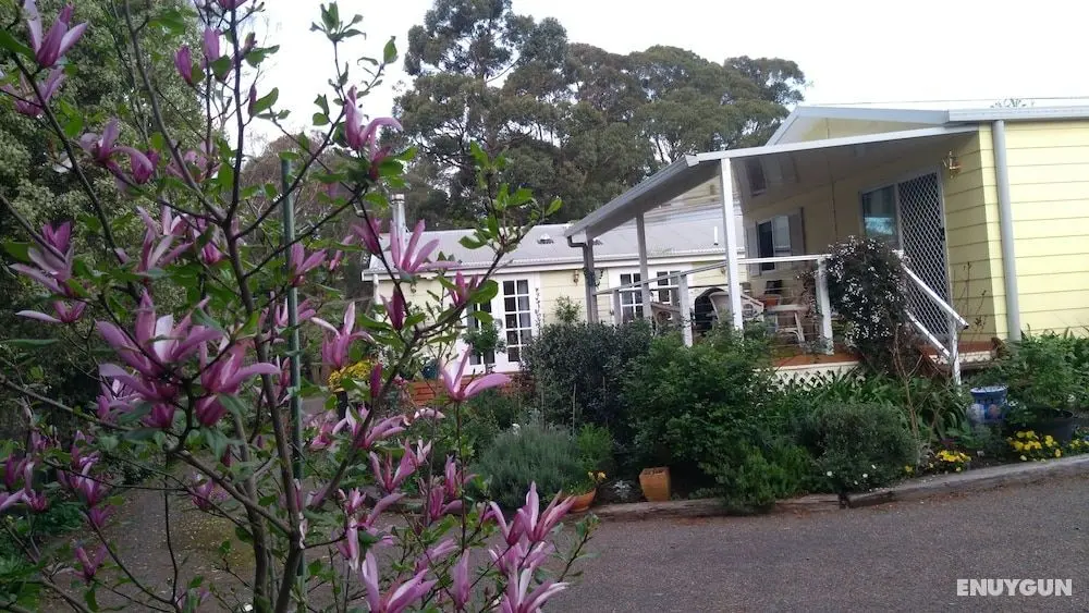 The Best Exotic Magnolia Cottage - Öne Çıkan Resim