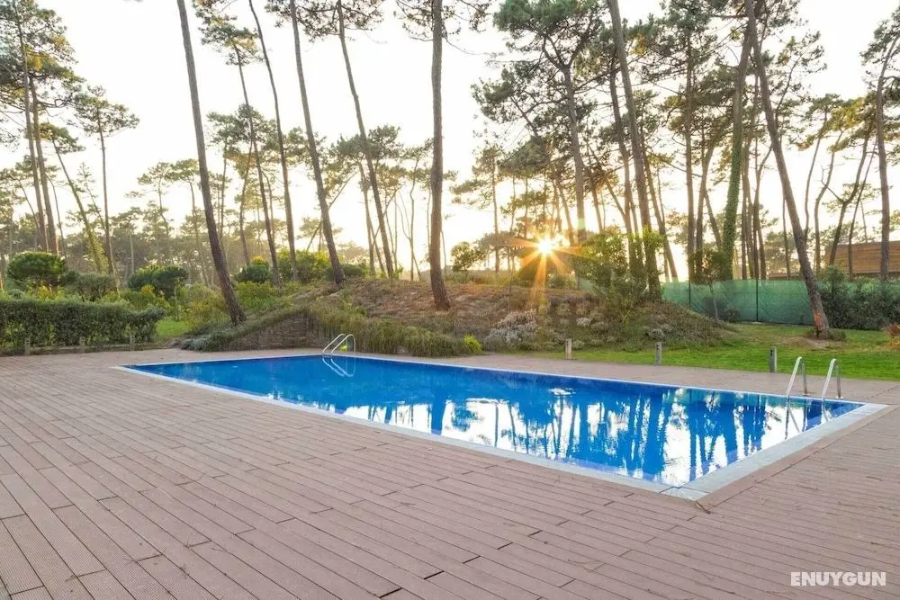 Best Villas - Park Ofir - Havuz