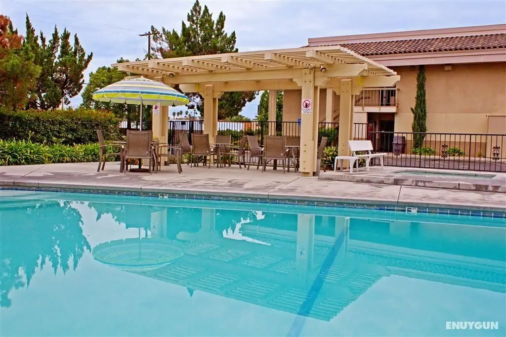 Best Western Village Inn - Havuz