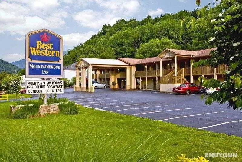 Best Western Mountainbrook Inn - Genel