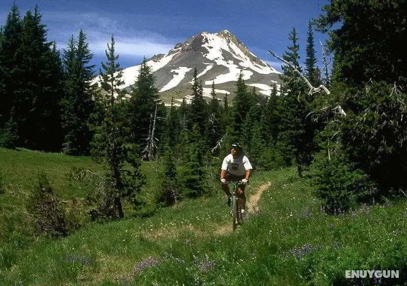 Best Western Mt. Hood Inn - Genel