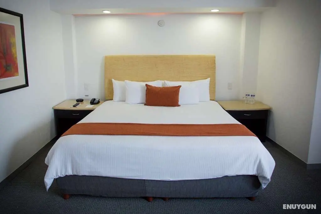 Best Western Plus Gran Hotel Centro Historico - Oda
