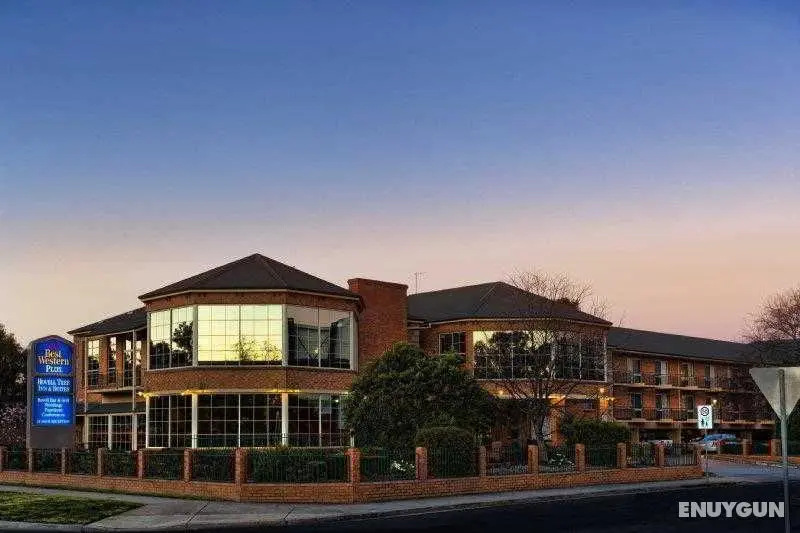 BEST WESTERN PLUS Hovell Tree Inn - Genel