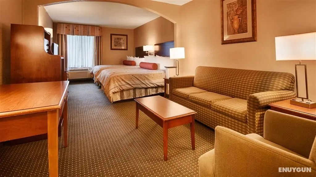 Best Western Plus Suites-Greenville - Oda