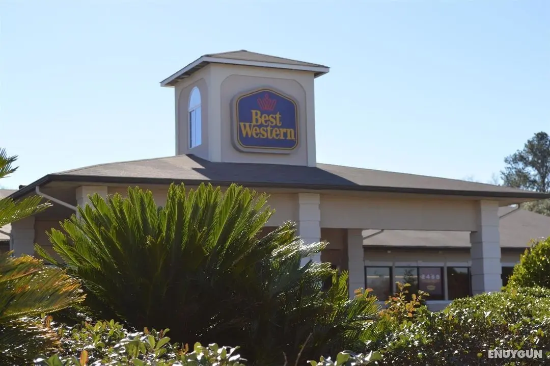 Best Western Point South - Genel