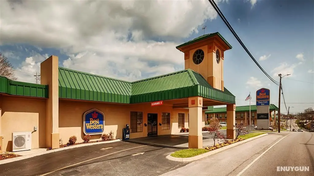 Best Western Tree City Inn - Genel