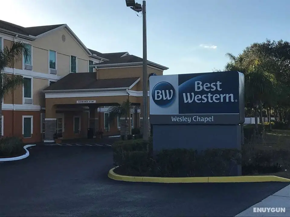 Best Western Wesley Chapel - Genel