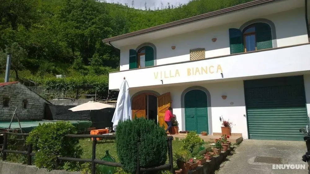 Villa Bianca - Öne Çıkan Resim