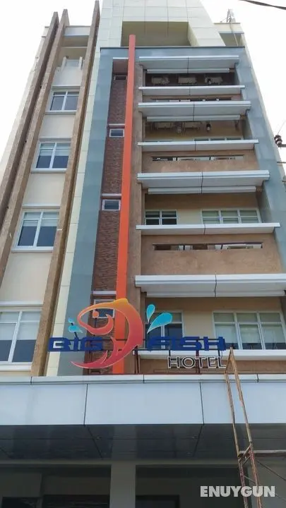 Big Fish Hotel - Öne Çıkan Resim