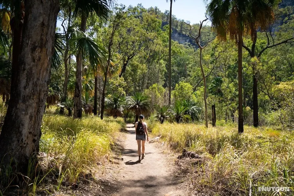 BIG4 Breeze Holiday Parks - Carnarvon Gorge - Öne Çıkan Resim