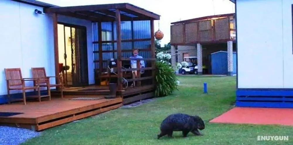 BIG4 Kelso Sands Holiday Park - Öne Çıkan Resim