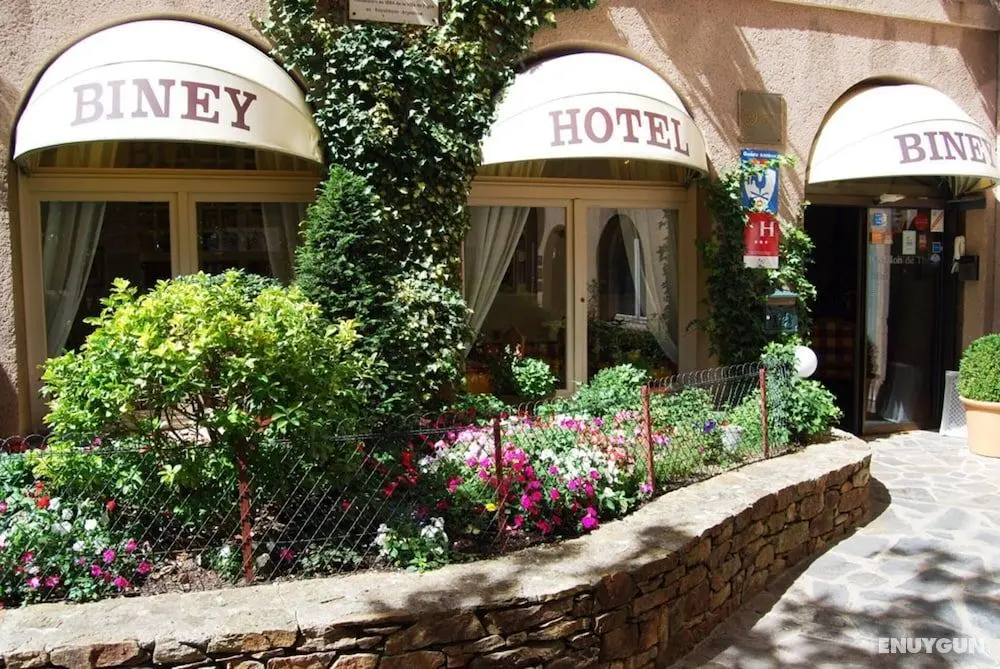 Hotel Biney - Dış Mekan