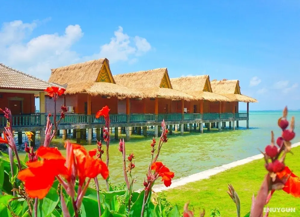 Bintan Agro Beach Resort & Spa - Dış Mekan
