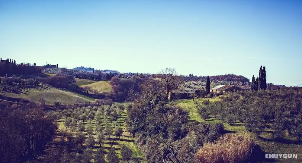 Bio-Agriturismo La Ginestra - Dış Mekan