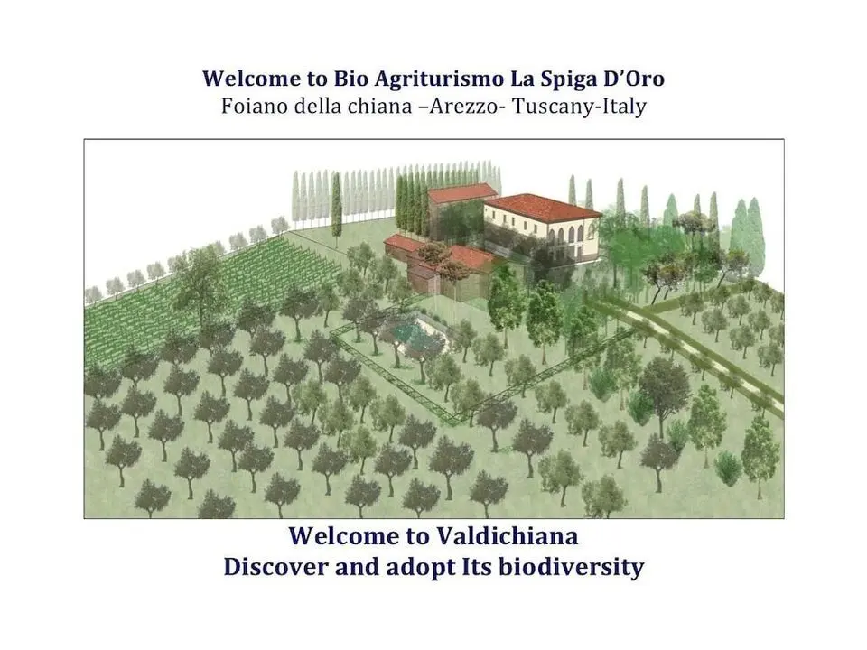 Bio Agriturismo La Spiga D'oro - Öne Çıkan Resim