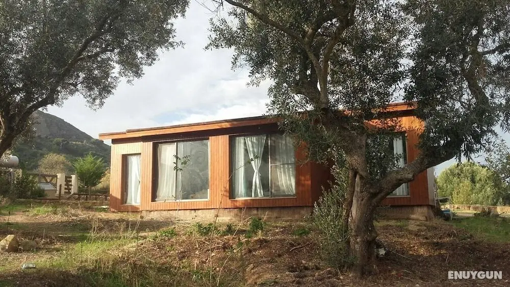 Biovilla Sustentabilidade - Öne Çıkan Resim