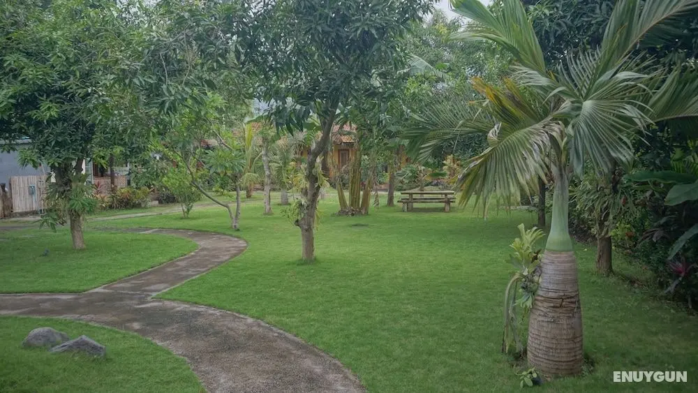 Biorock Homestay - Oda Manzaraları