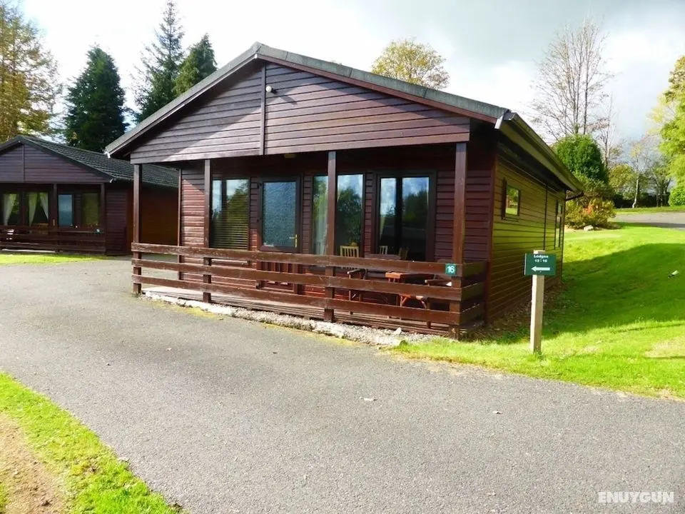 Birch Lodge 16, Newton Stewart - Öne Çıkan Resim