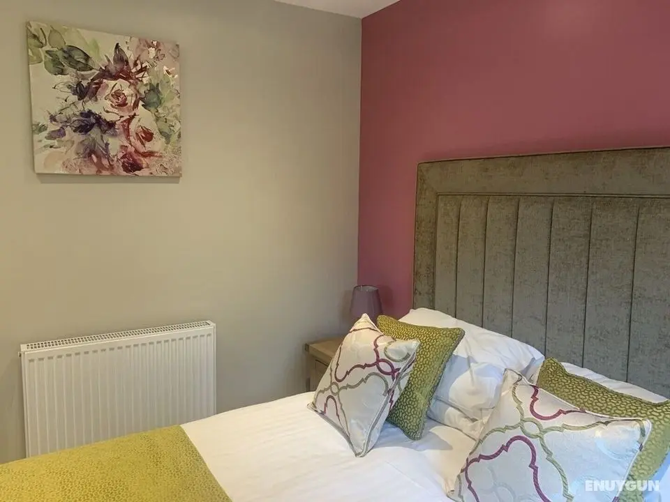 Birch Lodge 20 With Hot Tub, Newton Stewart - Oda