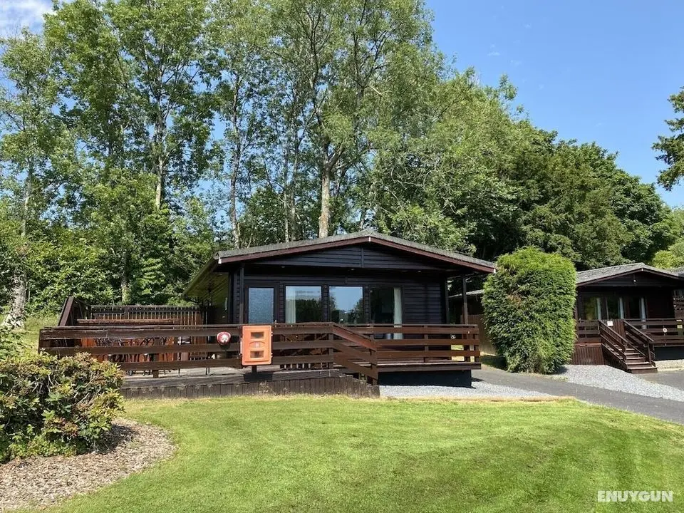Birch Lodge 21 With Hot Tub, Newton Stewart - Öne Çıkan Resim