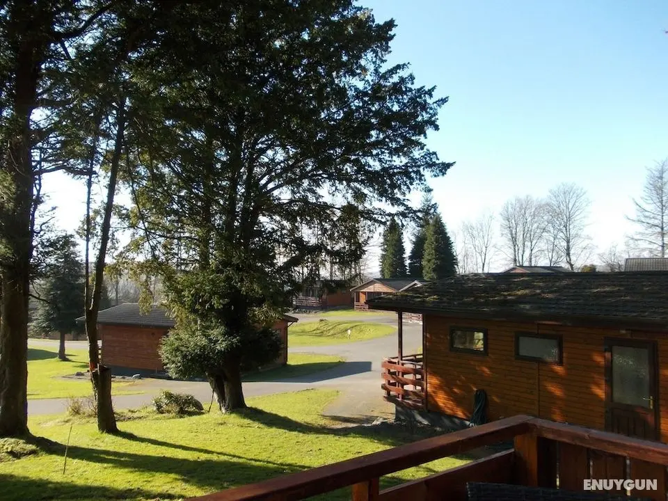 Birch Lodge 23 With Hot Tub, Newton Stewart - Öne Çıkan Resim