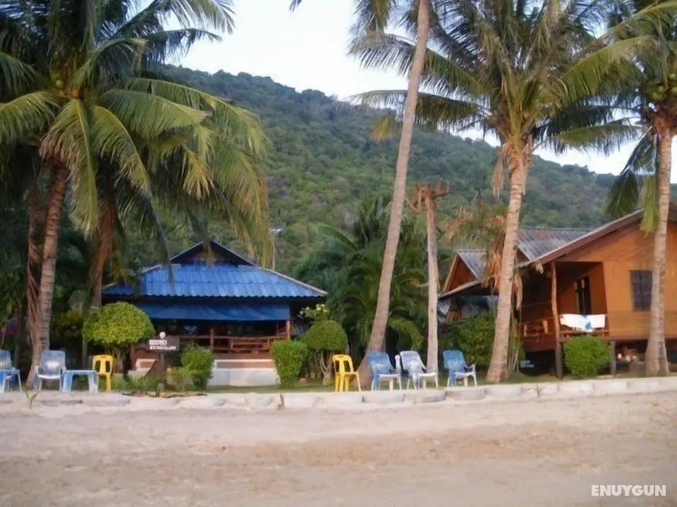 Bird Bungalow - Öne Çıkan Resim