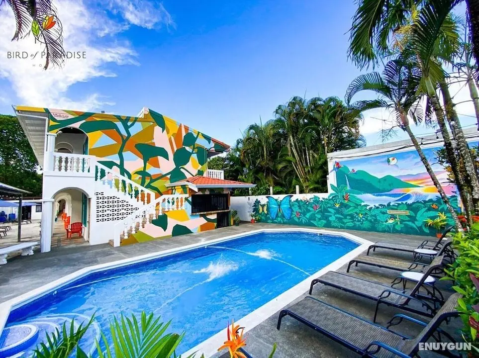 Bird of Paradise Hotel - Öne Çıkan Resim