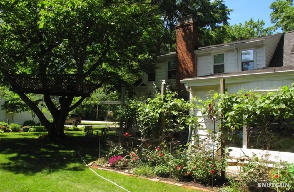 The Birdhouse Bed & Breakfast - Öne Çıkan Resim