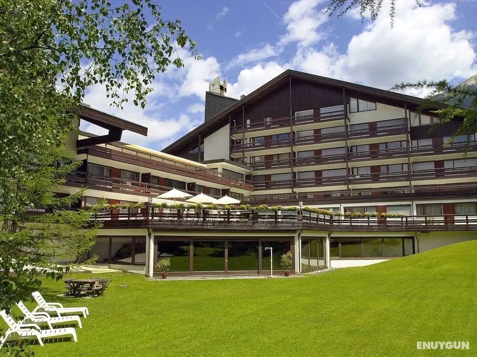 Birkenwald Seefeld in Tirol - Oda