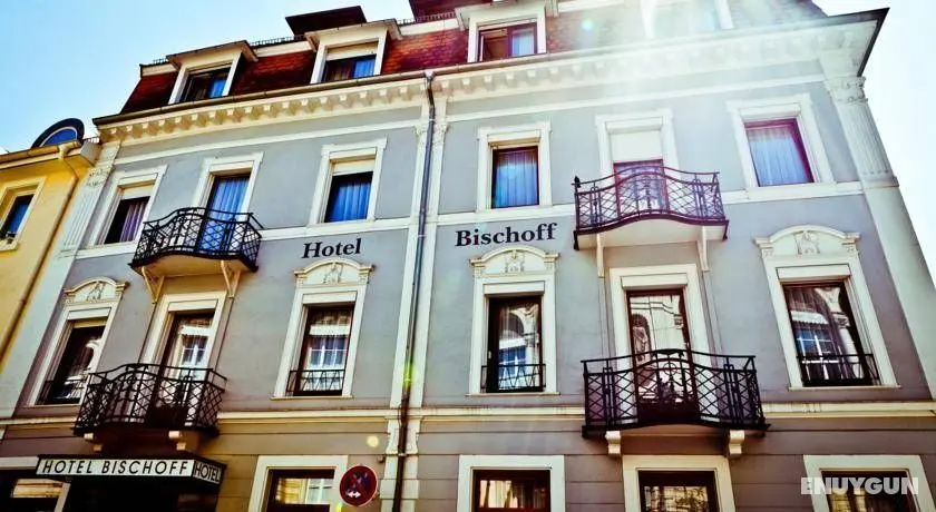 Hotel Bischoff - Genel