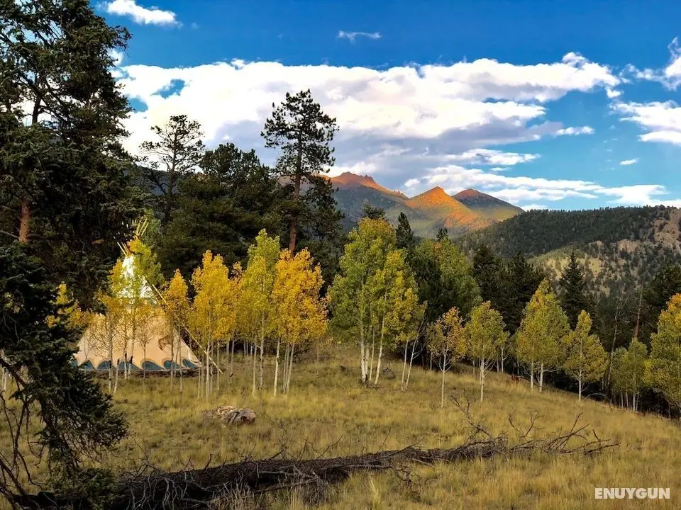 Bison Peak Lodge at Puma Hills - Öne Çıkan Resim