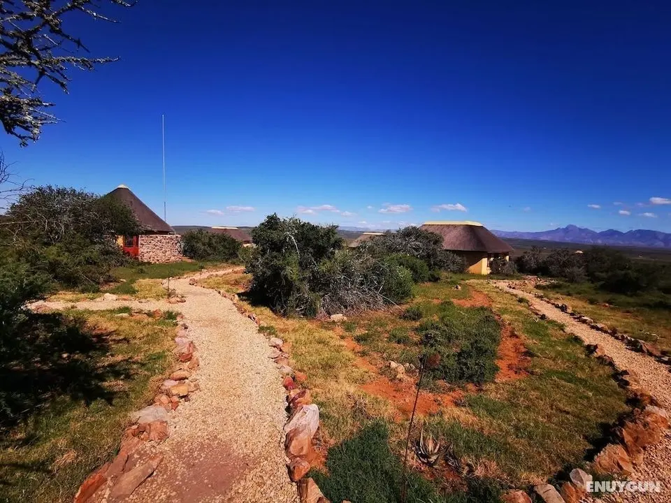 Blaauwbosch Private Game Reserve - Öne Çıkan Resim