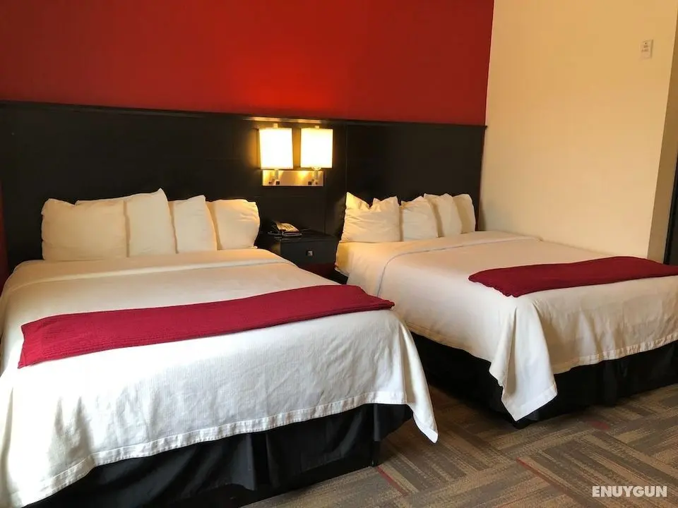 Black Gold Suites Tioga - Oda