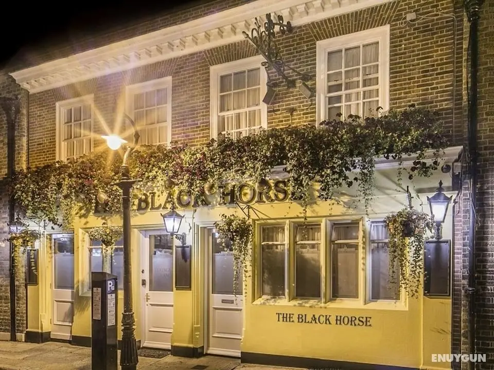 The Black Horse - Öne Çıkan Resim