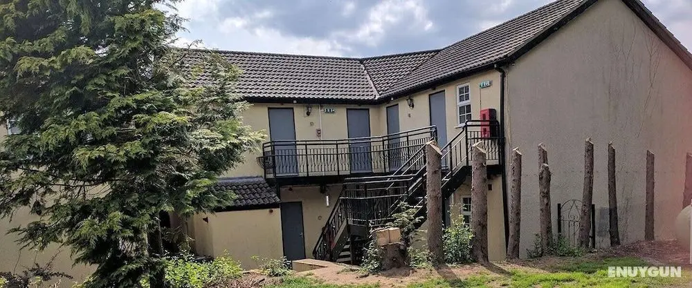 Black Horse Inn - Öne Çıkan Resim